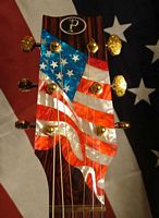 Flag design by Jimmi for Patriot Guitars