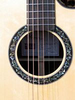 Wingert Elite series 2 by Jimmi for Wingert Guitars